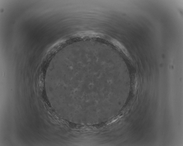 X0000081491063200701121504