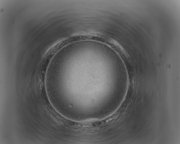 X0000081491064200701121504