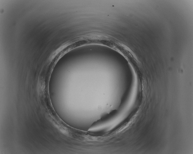 X0000081491065200701121504