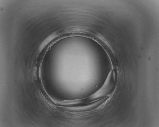 X0000081491066200701121504