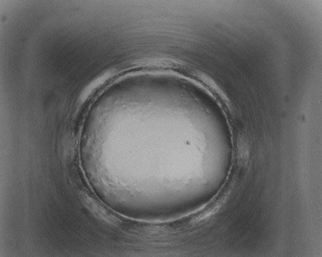 X0000081491067200701121504