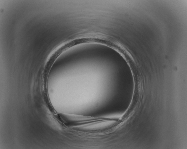 X0000081491069200701121504