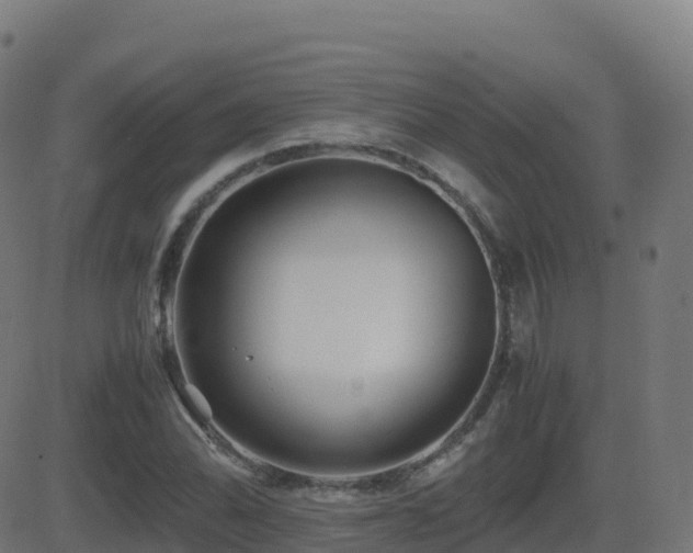 X0000081491070200701121504