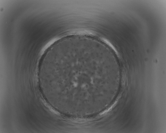 X0000081491071200701121504