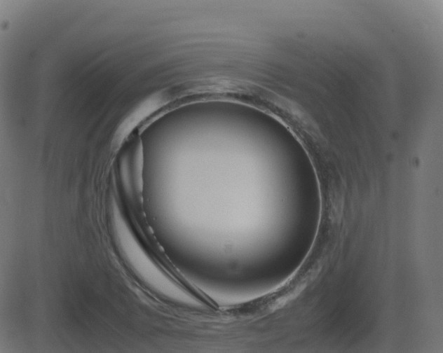 X0000081491073200701121504