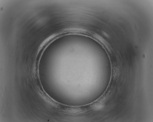 X0000081491074200701121504