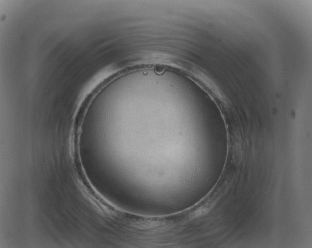 X0000081491076200701121504