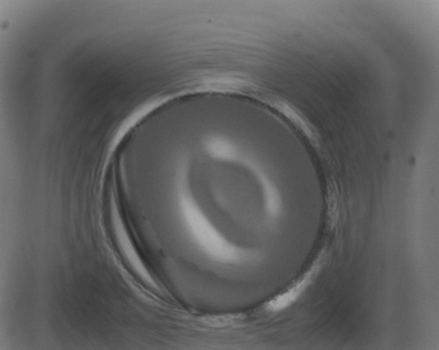 X0000081491077200701121504