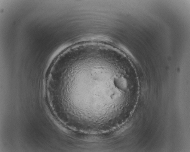 X0000081491079200701121504