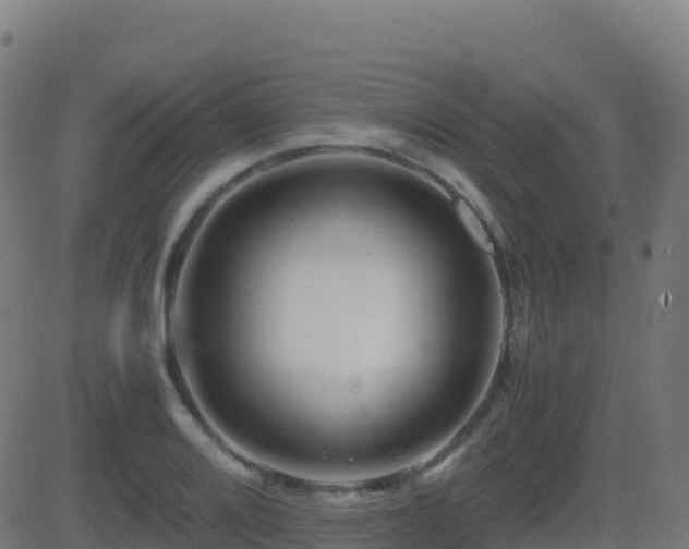 X0000081491080200701121504