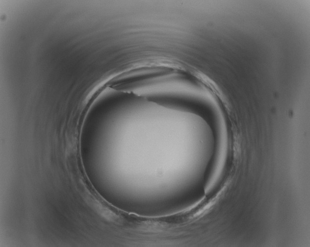 X0000081491081200701121504