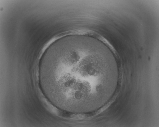 X0000081491083200701121504