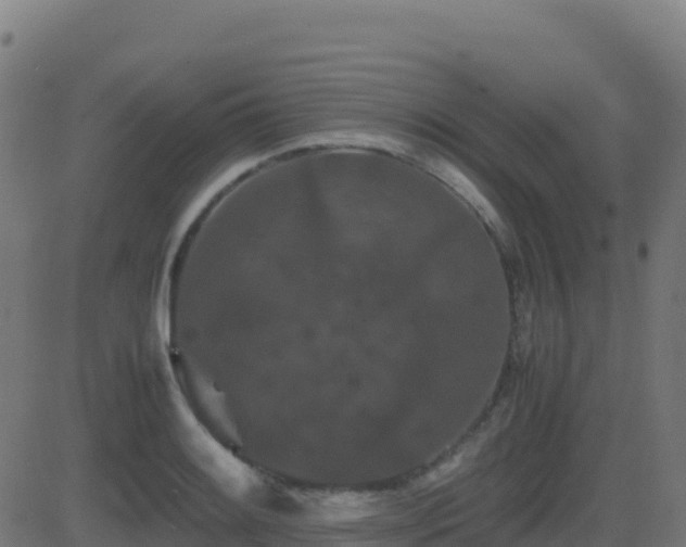 X0000081491084200701121504