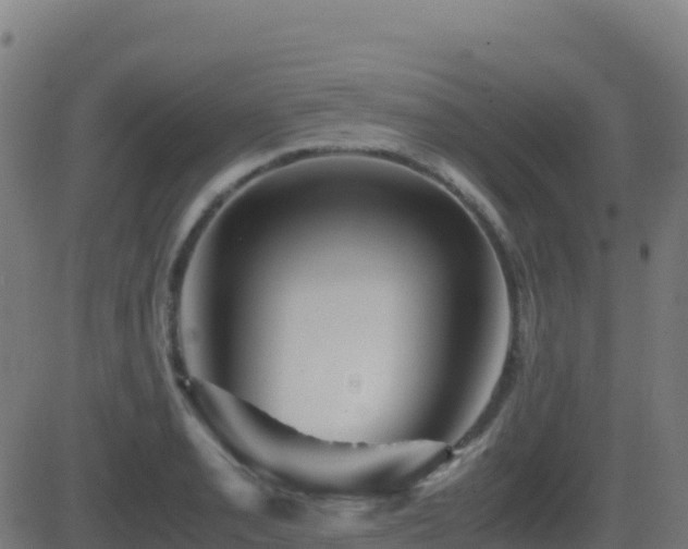 X0000081491085200701121504