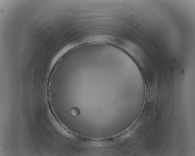 X0000081491086200701121504