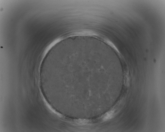 X0000081491087200701121504