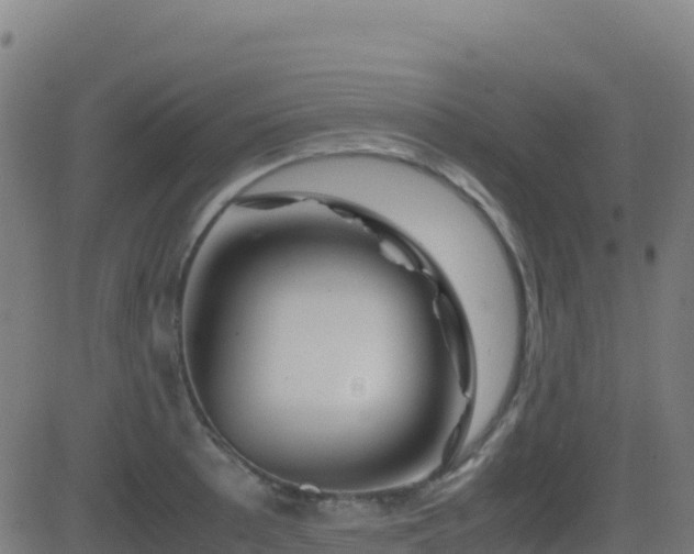 X0000081491089200701121504