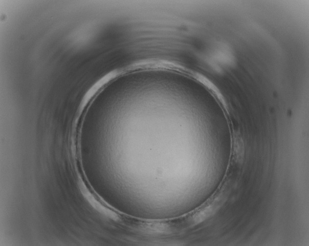 X0000081491090200701121504