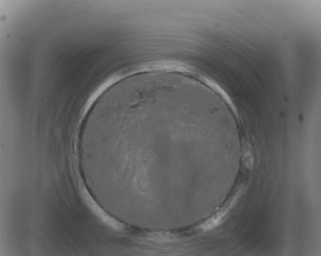 X0000081491091200701121504