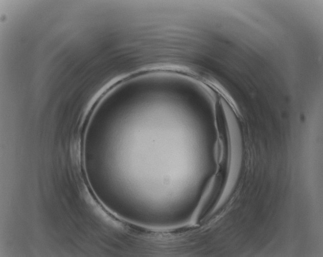 X0000081491092200701121504