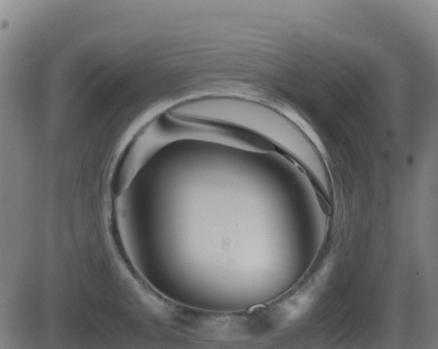 X0000081491093200701121504