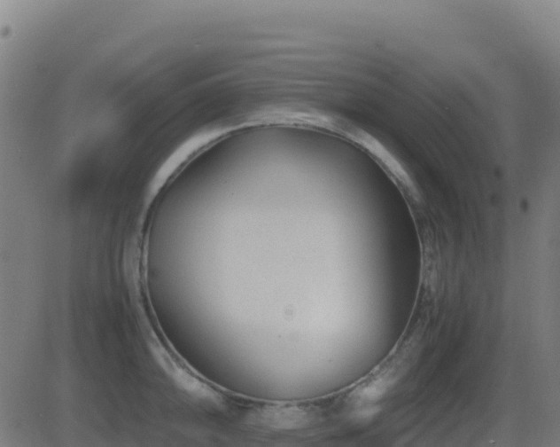 X0000081491094200701121504