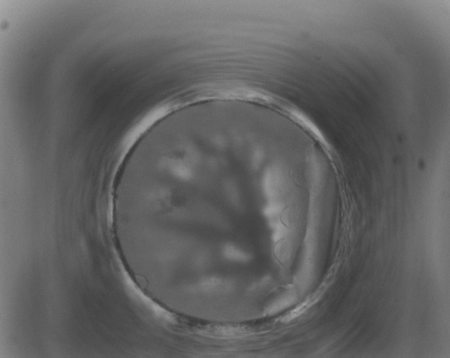 X0000081491095200701121504