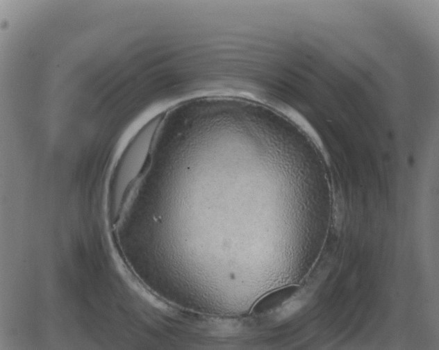 X0000081491096200701121504