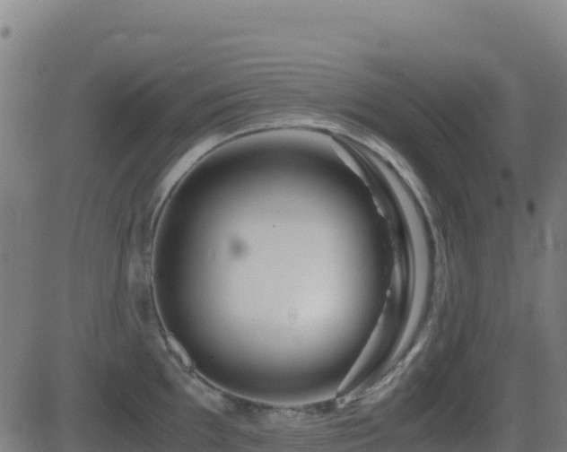 X0000081491097200701121504