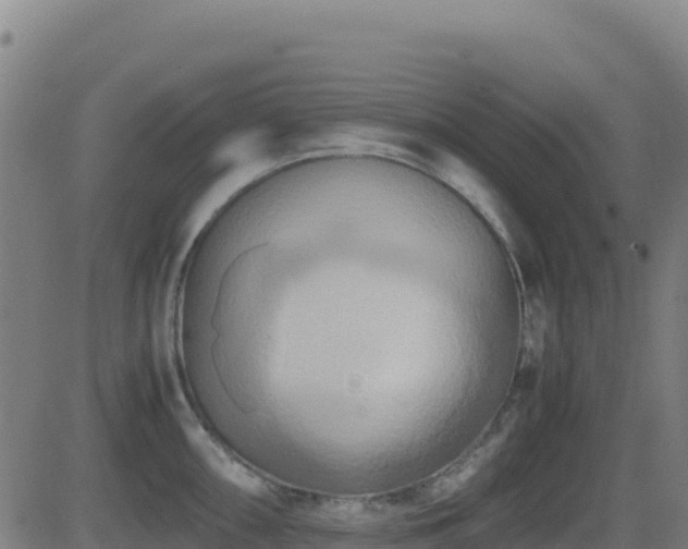 X0000081491098200701121504