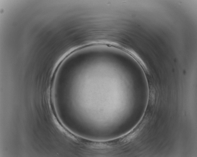 X0000081491100200701121504