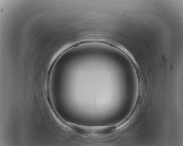 X0000081491101200701121504