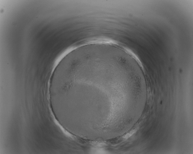 X0000081491103200701121504