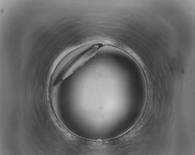 X0000081491104200701121503