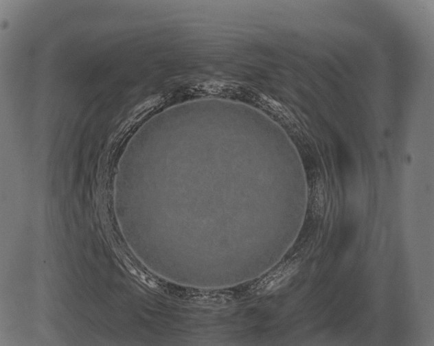 X0000081491105200701121503