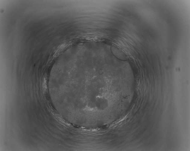 X0000081491106200701121503