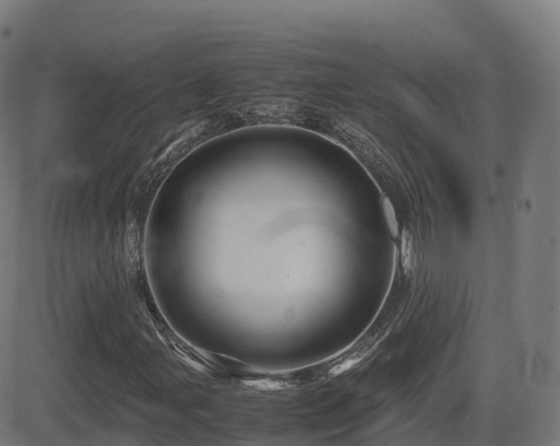 X0000081491107200701121503