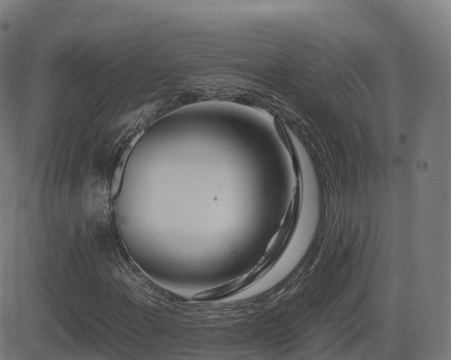 X0000081491108200701121503