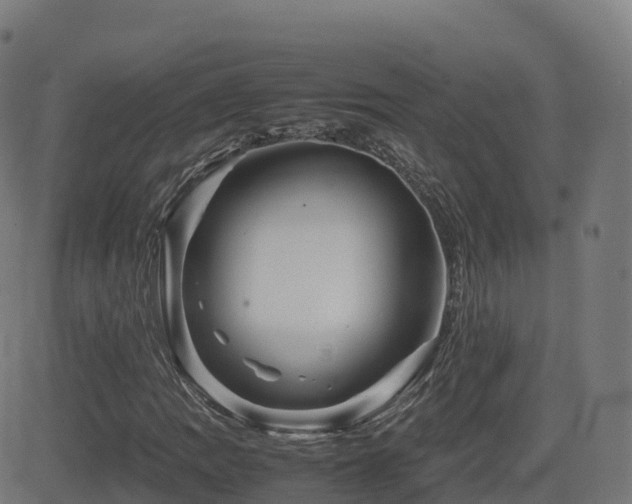 X0000081491109200701121503