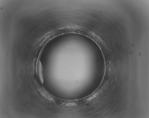 X0000081491110200701121503