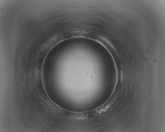 X0000081491111200701121503