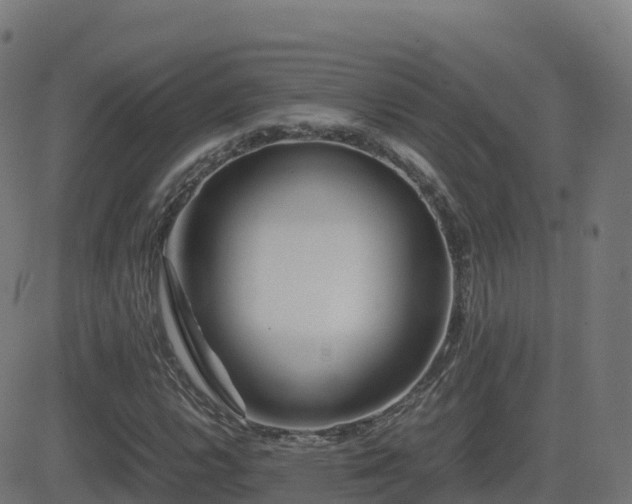 X0000081491112200701121503