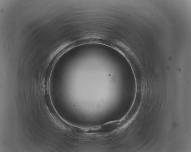 X0000081491113200701121503