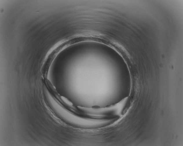 X0000081491114200701121503