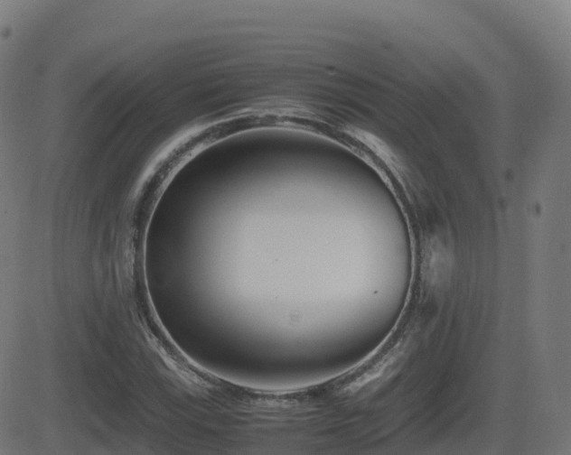 X0000081491115200701121503