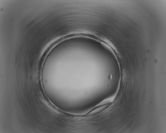 X0000081491116200701121503