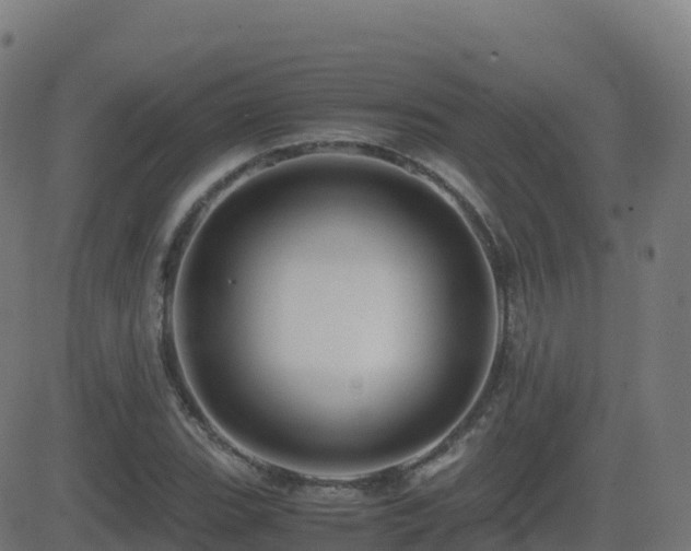 X0000081491119200701121503