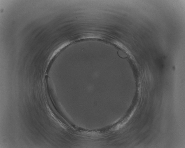 X0000081491121200701121503