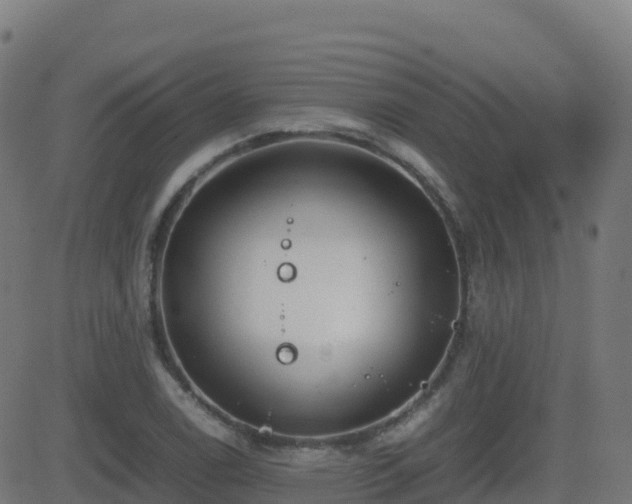 X0000081491122200701121503