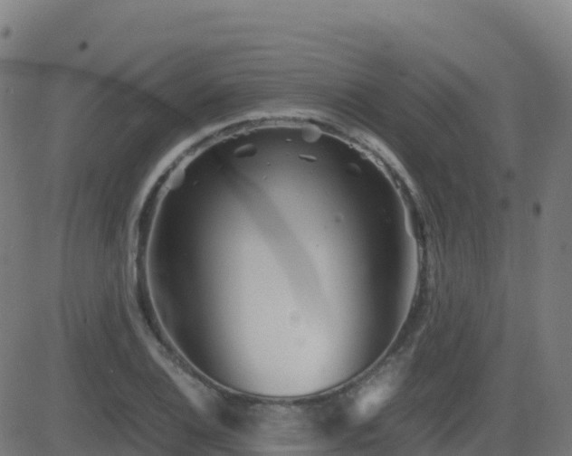 X0000081491124200701121503